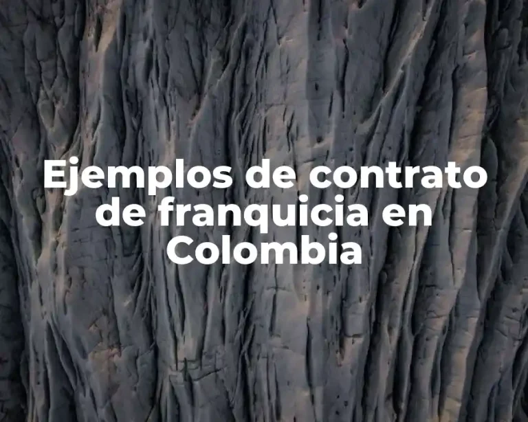 Ejemplos de contrato de franquicia en Colombia
