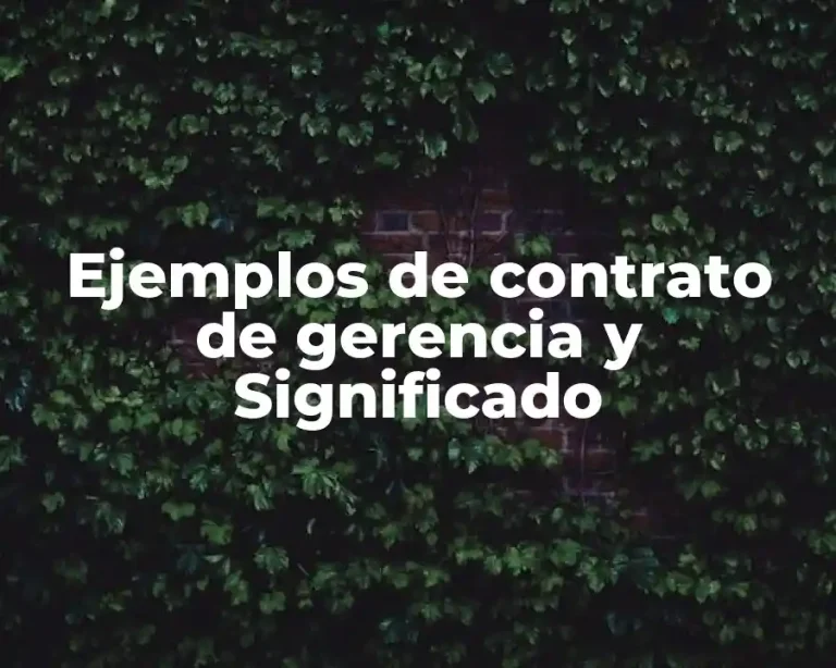 Ejemplos de contrato de gerencia y Significado