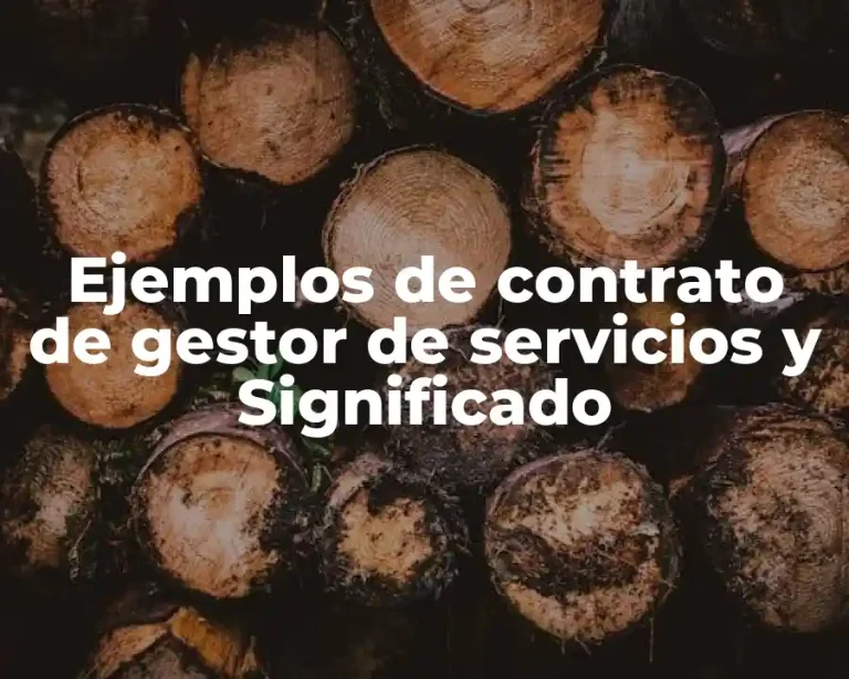 Ejemplos de contrato de gestor de servicios y Significado