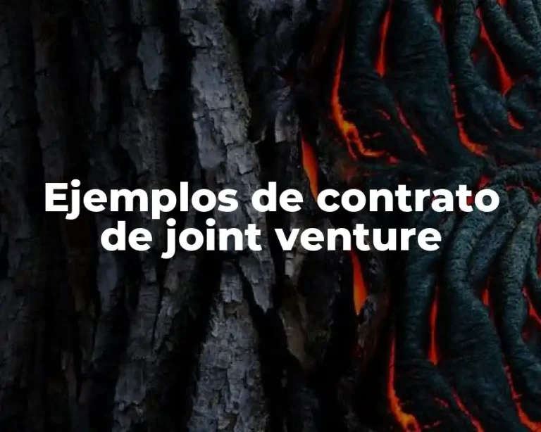 Ejemplos de contrato de joint venture