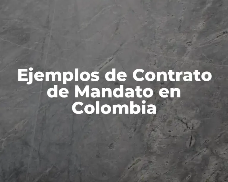 Ejemplos de Contrato de Mandato en Colombia