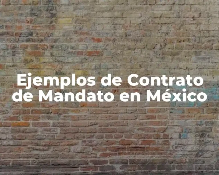 Ejemplos de Contrato de Mandato en México