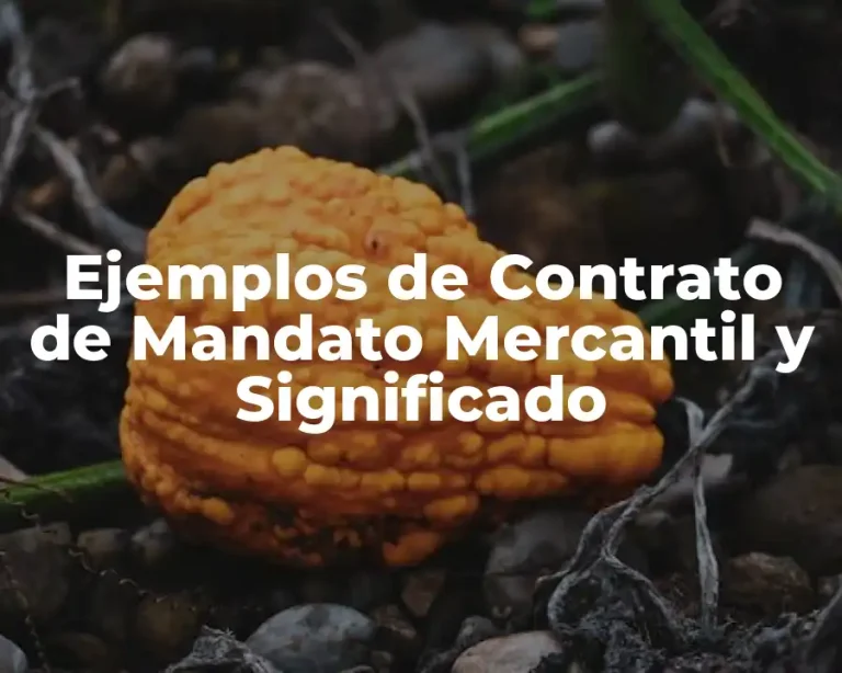 Ejemplos de Contrato de Mandato Mercantil y Significado
