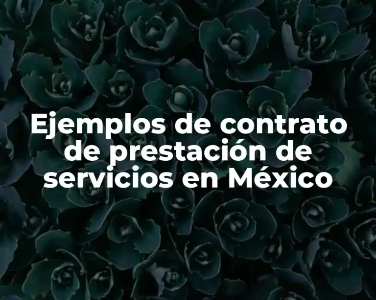 Ejemplos de contrato de prestación de servicios en México