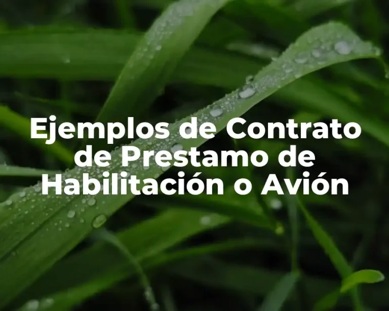 Ejemplos de Contrato de Prestamo de Habilitación o Avión