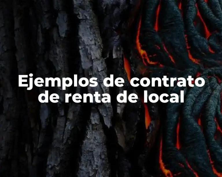 Ejemplos de contrato de renta de local