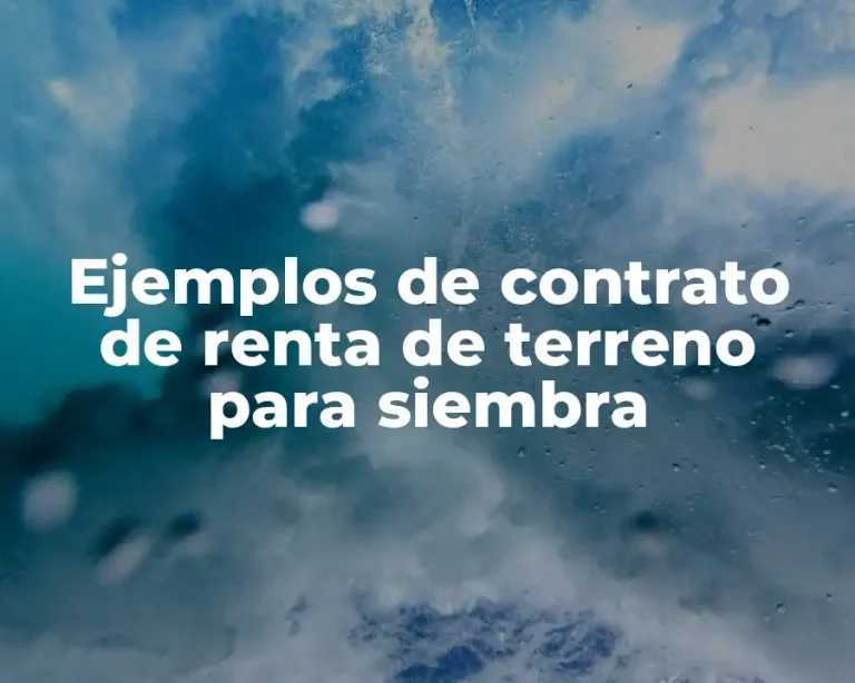 Ejemplos de contrato de renta de terreno para siembra