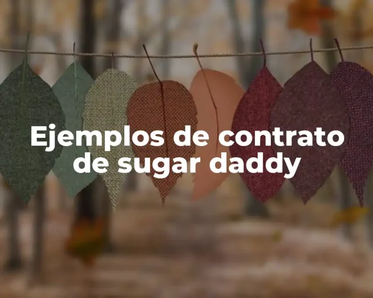 Ejemplos de contrato de sugar daddy