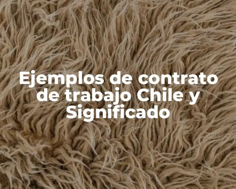 Ejemplos de contrato de trabajo Chile y Significado