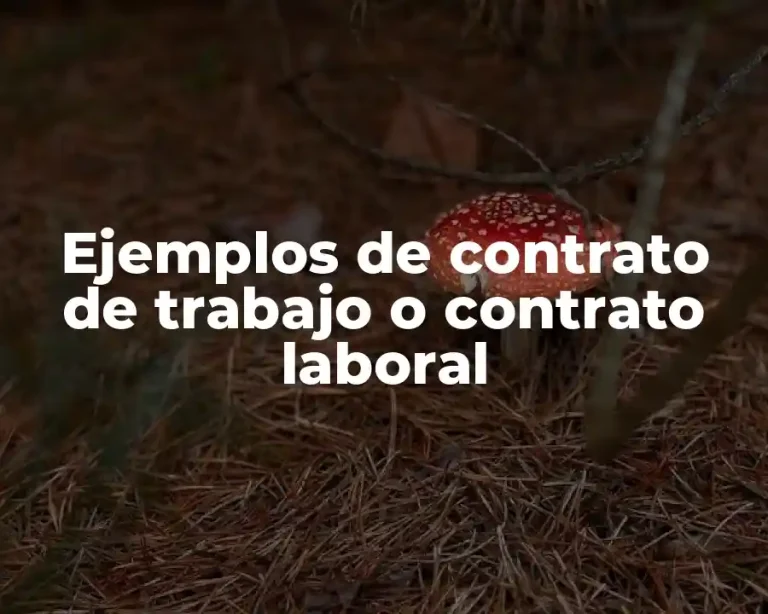Ejemplos de contrato de trabajo o contrato laboral