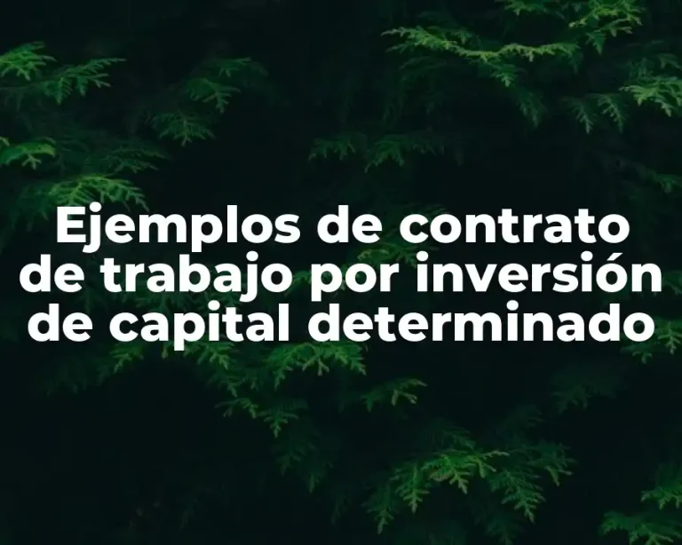Ejemplos de contrato de trabajo por inversión de capital determinado