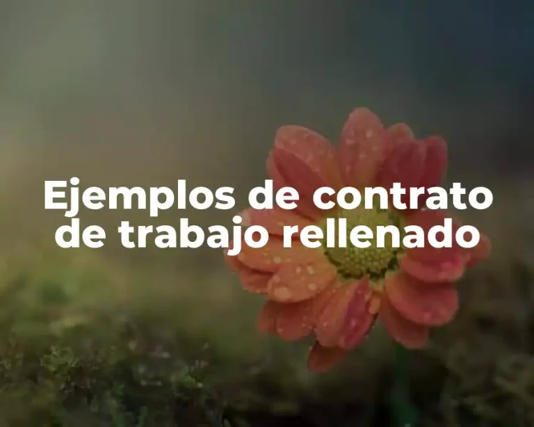 Ejemplos de contrato de trabajo rellenado