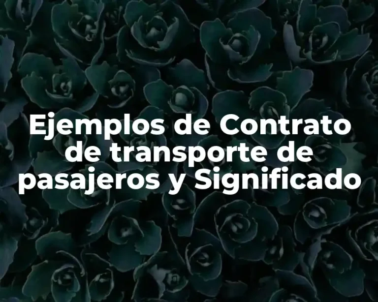 Ejemplos de Contrato de transporte de pasajeros y Significado