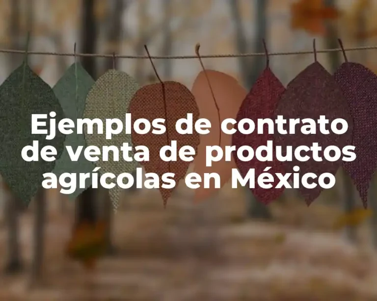 Ejemplos de contrato de venta de productos agrícolas en México