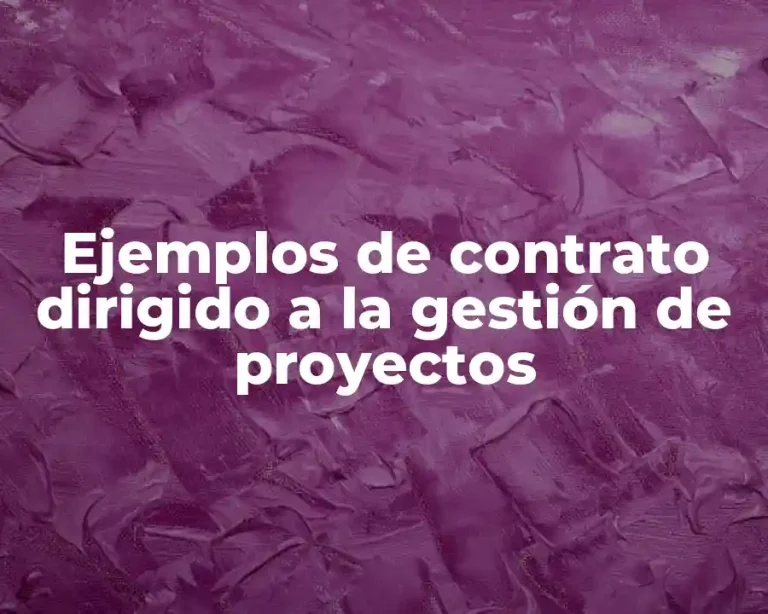 Ejemplos de contrato dirigido a la gestión de proyectos