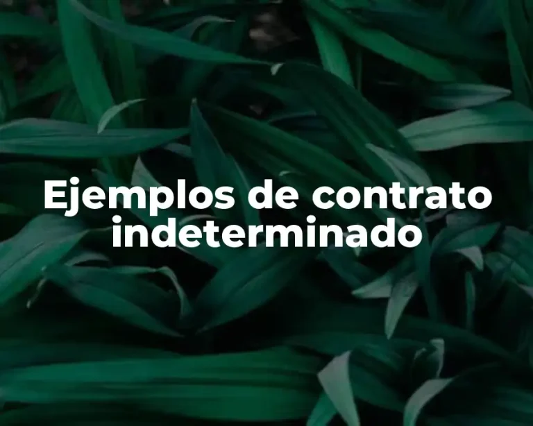 Ejemplos de contrato indeterminado
