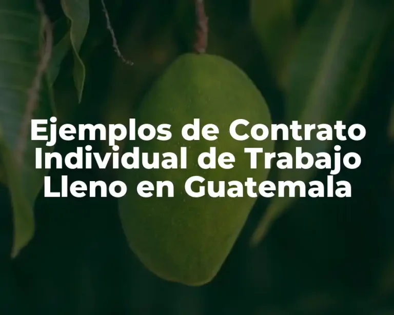 Ejemplos de Contrato Individual de Trabajo Lleno en Guatemala