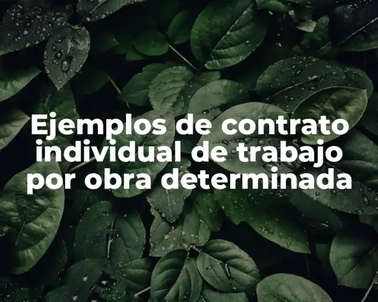 Ejemplos de contrato individual de trabajo por obra determinada