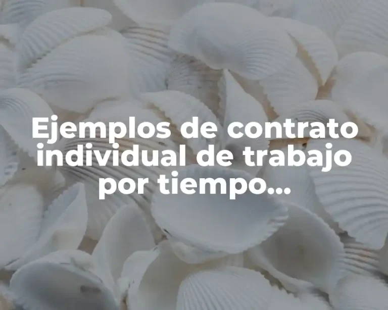 Ejemplos de contrato individual de trabajo por tiempo determinado