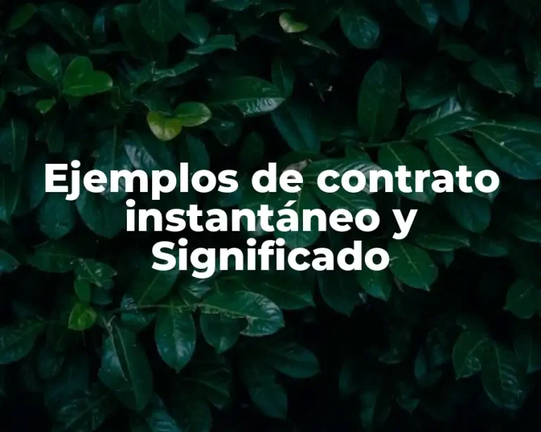 Ejemplos de contrato instantáneo y Significado