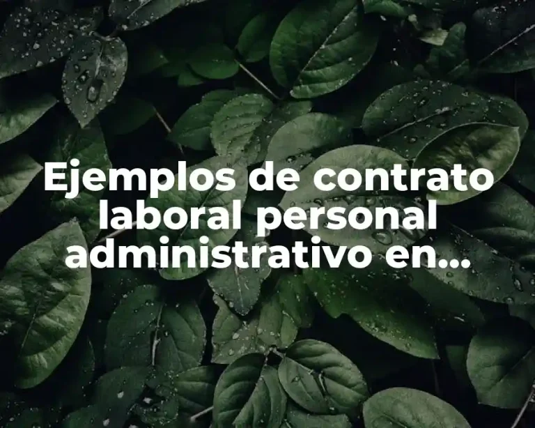 Ejemplos de contrato laboral personal administrativo en México