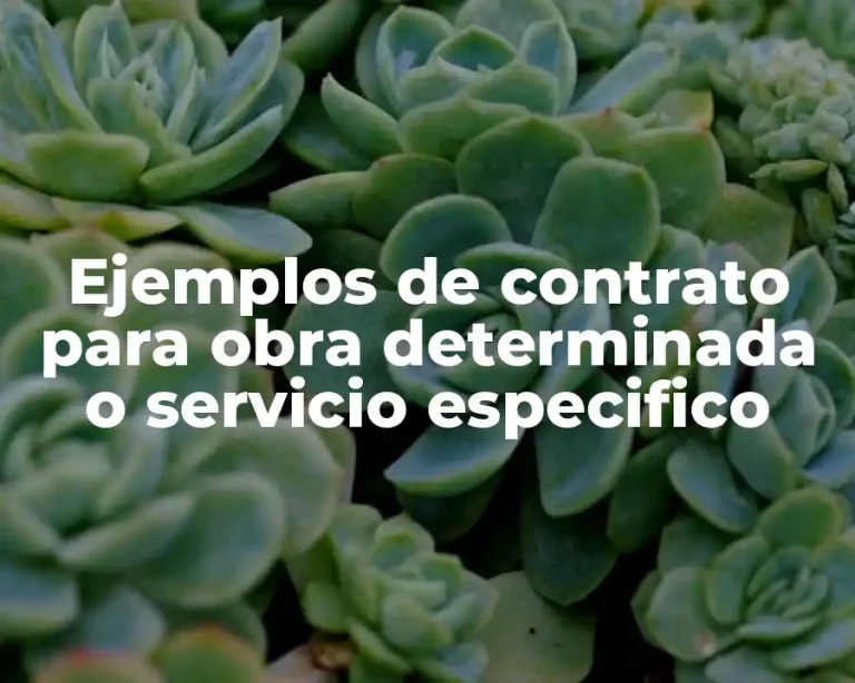 Ejemplos de contrato para obra determinada o servicio especifico