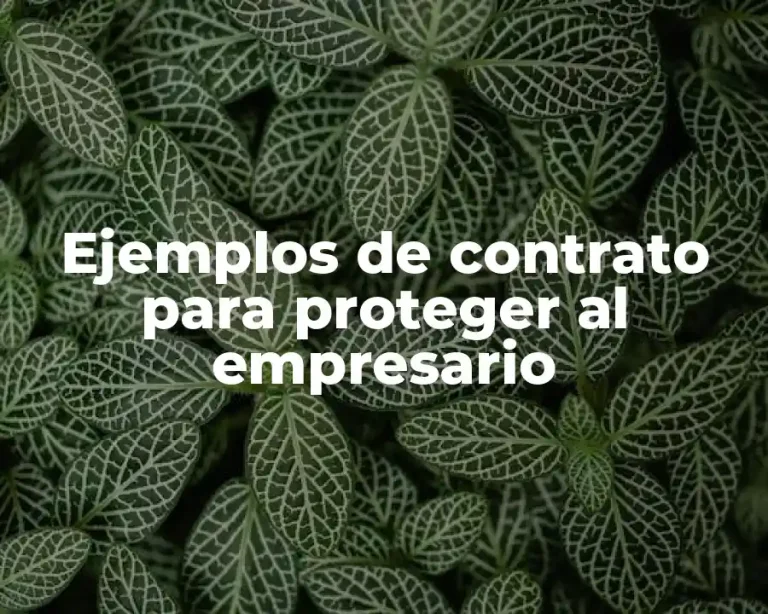 Ejemplos de contrato para proteger al empresario