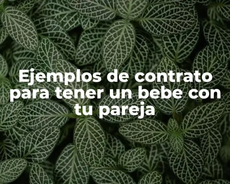 Ejemplos de contrato para tener un bebe con tu pareja