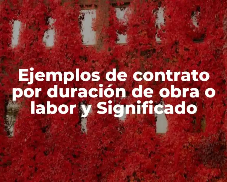 Ejemplos de contrato por duración de obra o labor y Significado