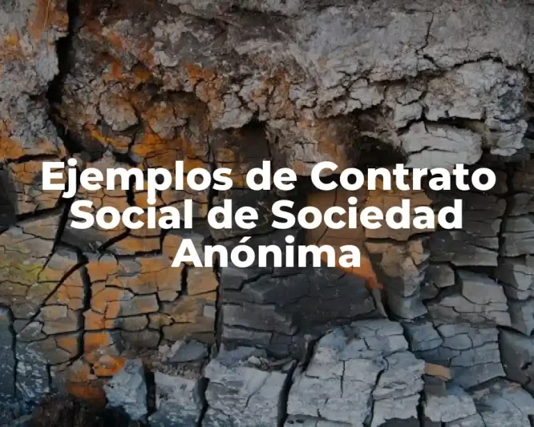 Ejemplos de Contrato Social de Sociedad Anónima