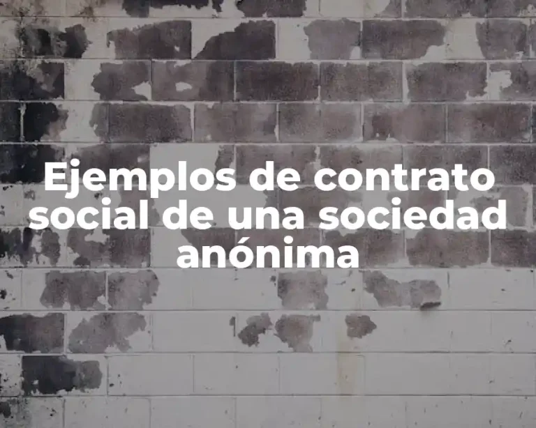 Ejemplos de contrato social de una sociedad anónima