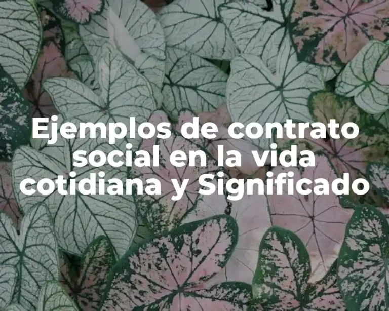 Ejemplos de contrato social en la vida cotidiana y Significado