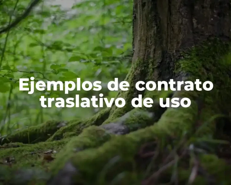 Ejemplos de contrato traslativo de uso