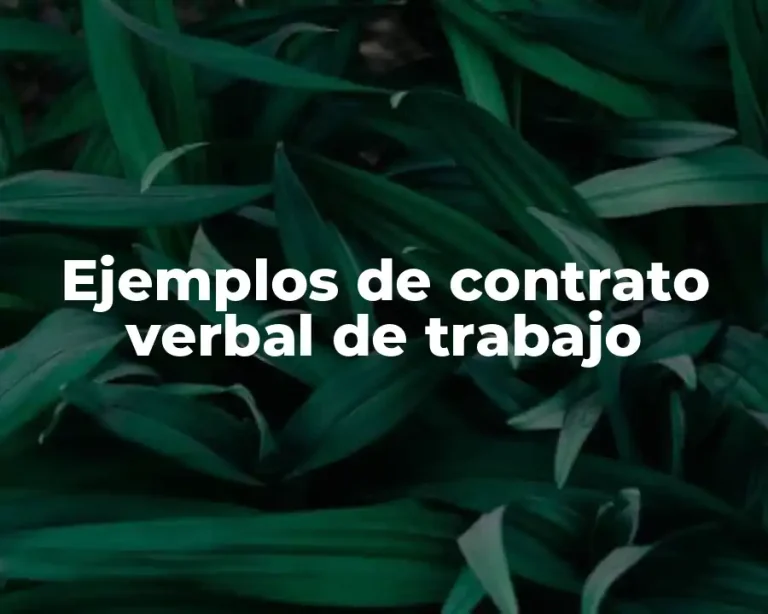 Ejemplos de contrato verbal de trabajo