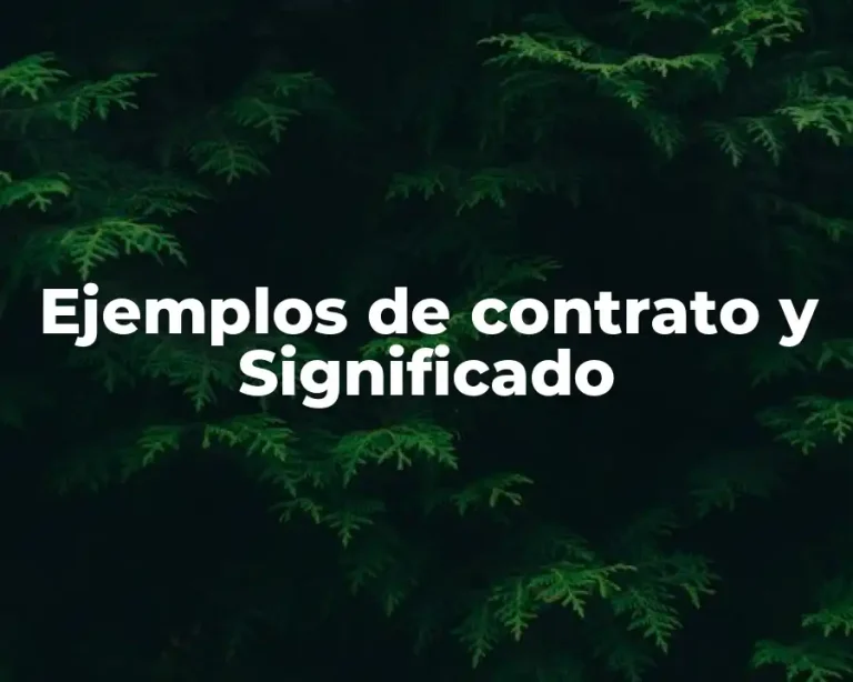 Ejemplos de contrato y Significado