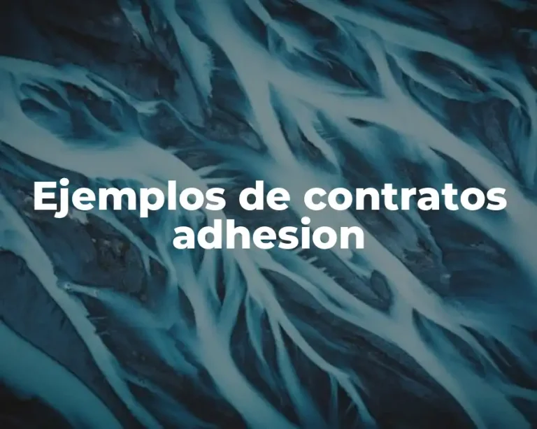 Ejemplos de contratos adhesion