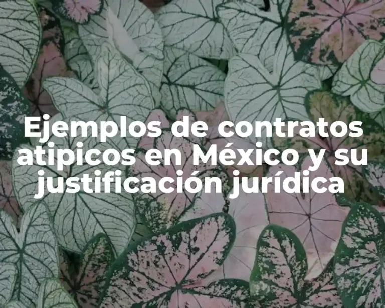 Ejemplos de contratos atipicos en México y su justificación jurídica