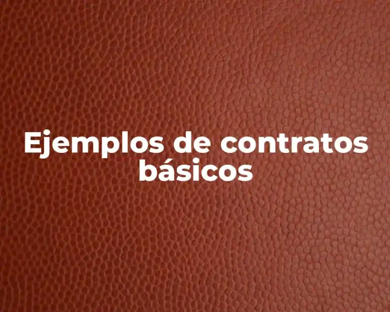 Ejemplos de contratos básicos