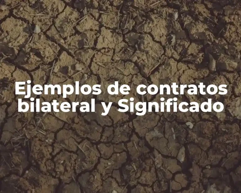 Ejemplos de contratos bilateral y Significado