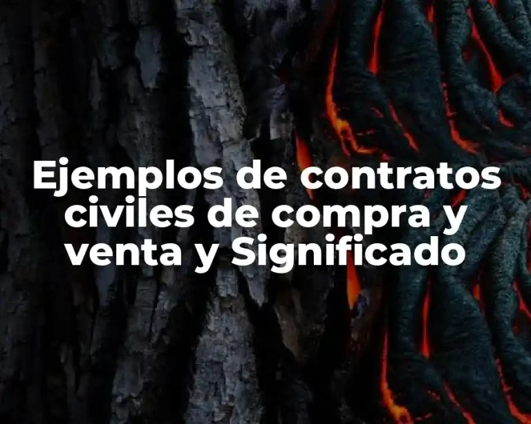 Ejemplos de contratos civiles de compra y venta y Significado