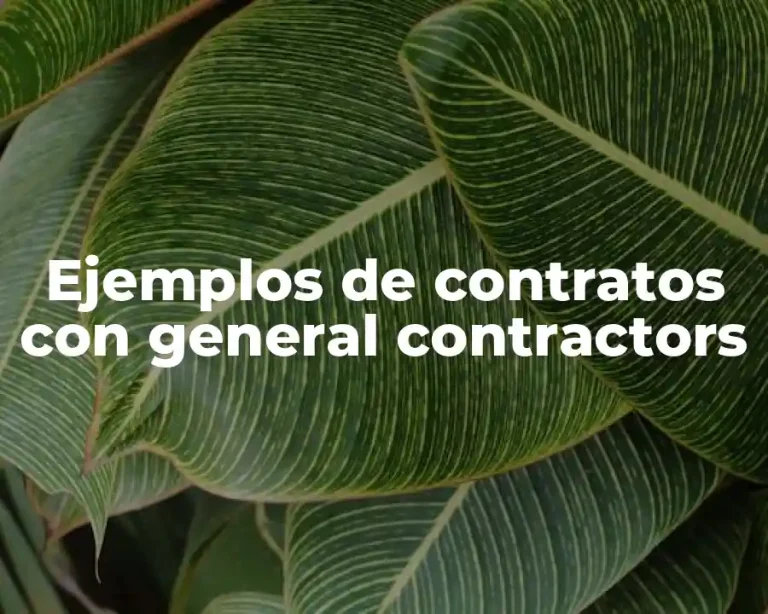 Ejemplos de contratos con general contractors