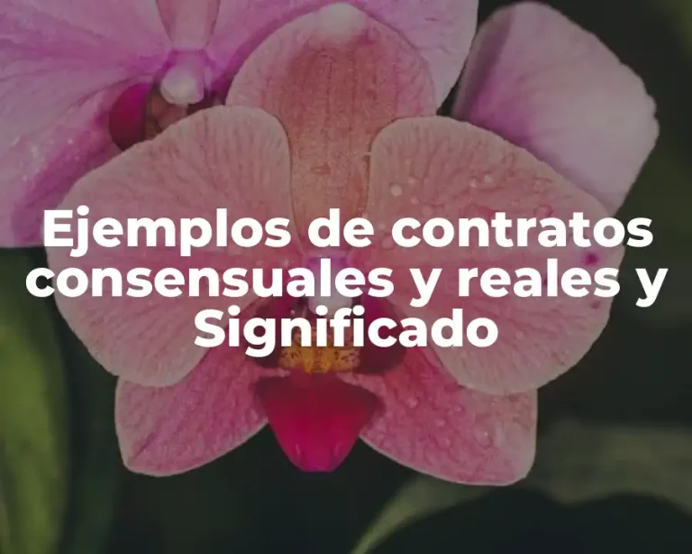 Ejemplos de contratos consensuales y reales y Significado