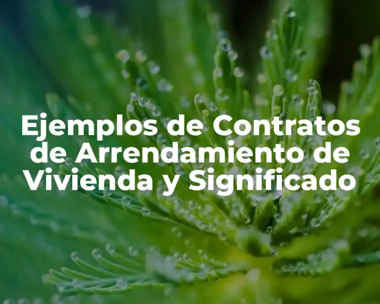 Ejemplos de Contratos de Arrendamiento de Vivienda y Significado