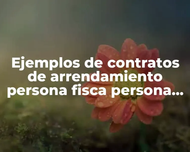 Ejemplos de contratos de arrendamiento persona fisca persona moral