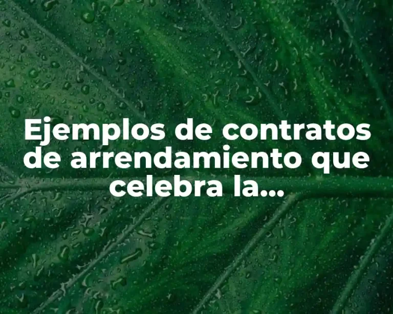 Ejemplos de contratos de arrendamiento que celebra la administración