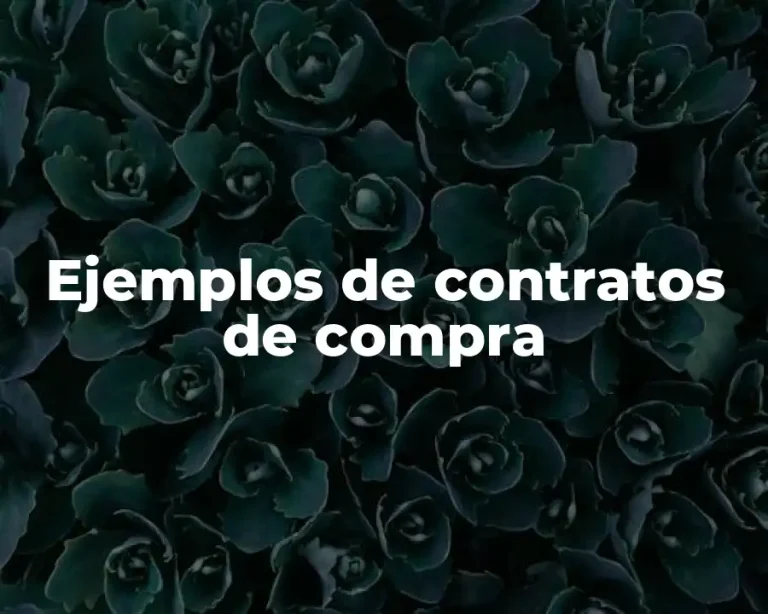 Ejemplos de contratos de compra