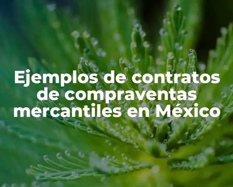 Ejemplos de contratos de compraventas mercantiles en México