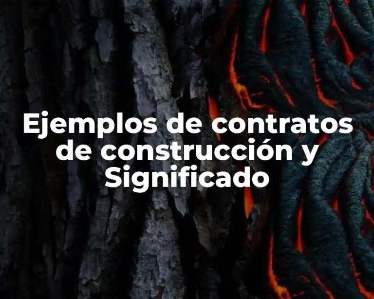 Ejemplos de contratos de construcción y Significado