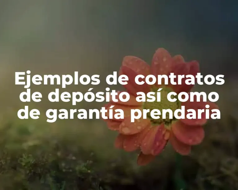 Ejemplos de contratos de depósito así como de garantía prendaria