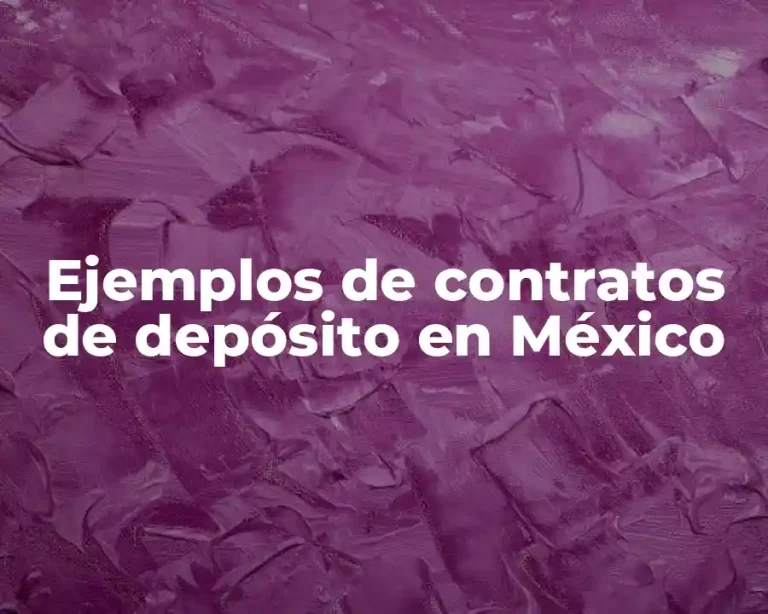 Ejemplos de contratos de depósito en México